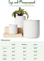 LE TAUCI 10+8+6 Inch Ceramic Pots for Plants, Indoor Planters with Drainage Hole and Plug, Raised Dots Cylinder Flower Pots Set of 3 for Living Room and Bedroom, Glossy, Arctic White - Image 5