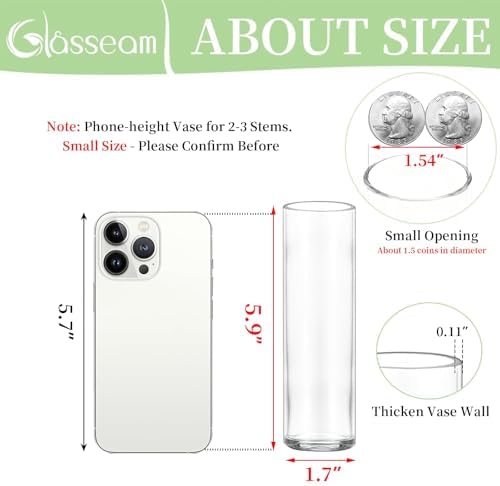 Glasseam Cylinder Bud Vases in Bulk 24: Clear Small Glass Vases for Flowers - Image 2