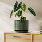 LE TAUCI 8 Inch Plant Pot, Ceramic Pots for Plants, Forest Green by LETAUCI