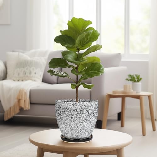 Ceraimc Plant Pot - 8 Inch Planter with Drainage and Saucer, Modern Round Planter, Flower Pot for Indoor Outdoor Plants, Home Room Garden Apartment Decor, Gifts for Plant Lovers, White-Black - Image 7