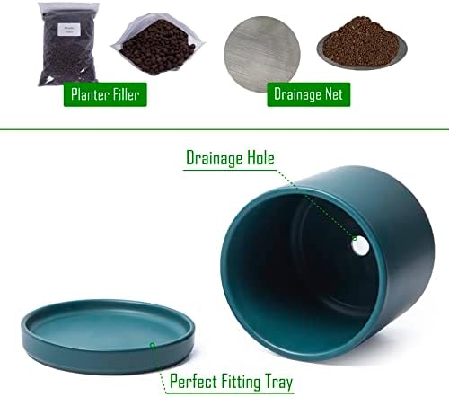 D'vine Dev 2-Pack Ceramic Pots with Saucers, Teal, 6 in, 94-V-C-9 - Image 4
