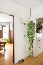 Hollyone Artificial Hanging Plants 6FT Fake Ivy Vine Faux Ivy Leaves Hanging Plant Greenery for Wall House Room Patio Indoor Outdoor Home Shelf Office Wedding Decor - Image 3