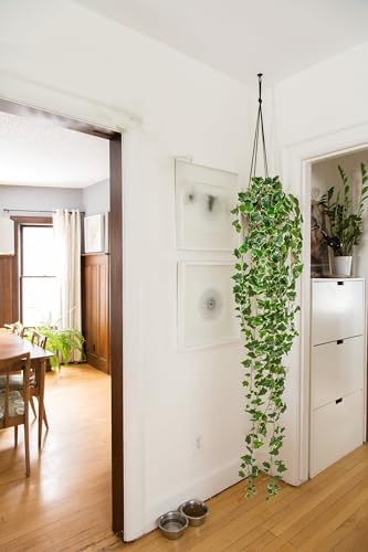Hollyone Artificial Hanging Plants 6FT Fake Ivy Vine Faux Ivy Leaves Hanging Plant Greenery for Wall House Room Patio Indoor Outdoor Home Shelf Office Wedding Decor - Image 3