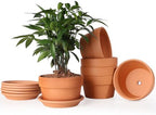INGOFIN 5 Inch Terracotta Shallow Pots Set with Saucer - Ceramic Clay Pots with Drainage Hole, Terra Cotta for Plants for Indoor Outdoor Plants, Set of 6 by INGOFIN