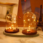 Suclain 4Pc Glass Dome Cloche with Wood Base, Brown, 4.3/5.1/5.9/6.7 x 3.8 - Image 4