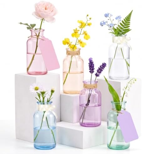 6 Pack Mason Jar Vases for Centerpieces,6.3" Colored Glass Bud Vases Set by Unknown