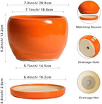 SQOWL Ceramic Pot for Plants - 8 Inch Plant Pot Indoor Outdoor, Modern Round Planter with Drainage Hole and Saucer, Decorative Planter for Flower, Office Decor, Garden Gifts for Women, Orange - Image 3