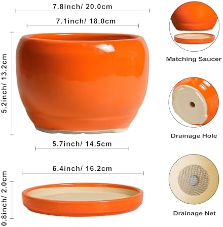 SQOWL Ceramic Pot for Plants - 8 Inch Plant Pot Indoor Outdoor, Modern Round Planter with Drainage Hole and Saucer, Decorative Planter for Flower, Office Decor, Garden Gifts for Women, Orange - Image 3