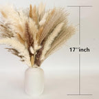 610 PCS Dried Pampas Grass Decor, Dried Flower Bouquets for Wedding, Home, Centerpiece Table, Modern Home, Western Living Room, Nurserie, Nursery, Boho Room, Beach, Women Office, and Boho Decor - Image 3