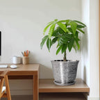 10 Inch Plant Pot, Ceramic Planter with Drainage Hole, Silver - Image 7