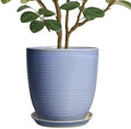 10 Inch Plant Pot - Round Ceramic Planter with Drainage Hole and Plant Saucer Indoor Outdoor for Decoration, Modern Home Garden Office Decor, House Warming Gifts, Blue-Purple by EPFamily