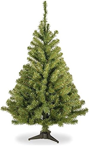 National Tree Company 4ft Unlit Kincaid Spruce Mini Christmas Tree by Unknown