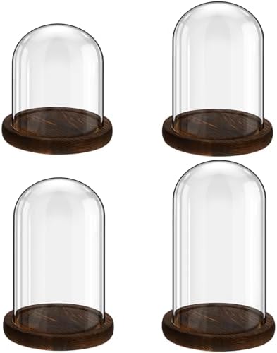 Suclain 4Pc Glass Dome Cloche with Wood Base, Brown, 4.3/5.1/5.9/6.7 x 3.8 by Suclain