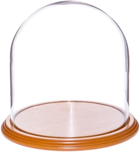 Plymor 8" x 8" Glass Display Dome Cloche (Oak Veneer Base) by Plymor
