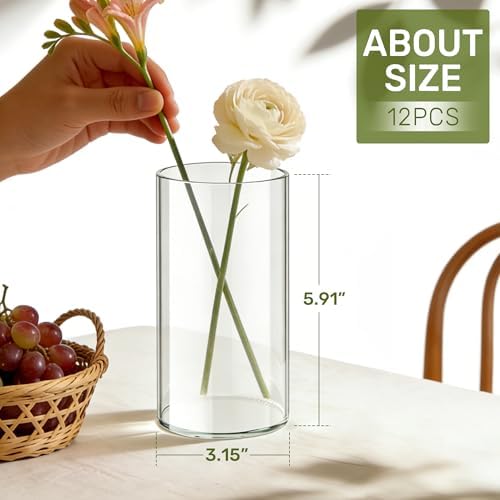 12pcs Glass Cylinder Vases for Centerpieces, 6 Inch Tall Flower Vase for Wedding Decorations, Hurricane Vases Floating Candle Holder for Table Centerpiece Wedding Home Décor - Image 3