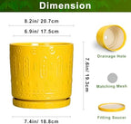 Eightpot 8 Inch Plant Pot, Ceramic Pots for Plants with Drainage Hole and Sacuer, Round Flower Pots for Indoor Outdoor Plants, Modern Decorative Planter, Table Decor, Plant Gifts for Women, Yellow - Image 2