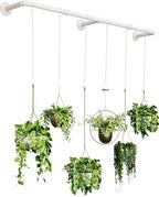 SOFITORG 65.7" Metal Plant Hanging Rod with 6 Chains, Pots Not Included by SOFITORG