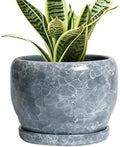 SQOWL 6 Inch Plant pots Indoor - Ceramic Planter with Drainage Hole and Saucer, Ceramic Flower Pot Outdoor, Decorative Round Planter, Home Decor Living Room, Gifts for Plant Lovers, Gray by SQOWL