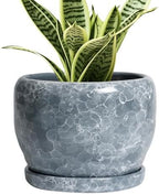 SQOWL 6 Inch Plant pots Indoor - Ceramic Planter with Drainage Hole and Saucer, Ceramic Flower Pot Outdoor, Decorative Round Planter, Home Decor Living Room, Gifts for Plant Lovers, Gray by SQOWL