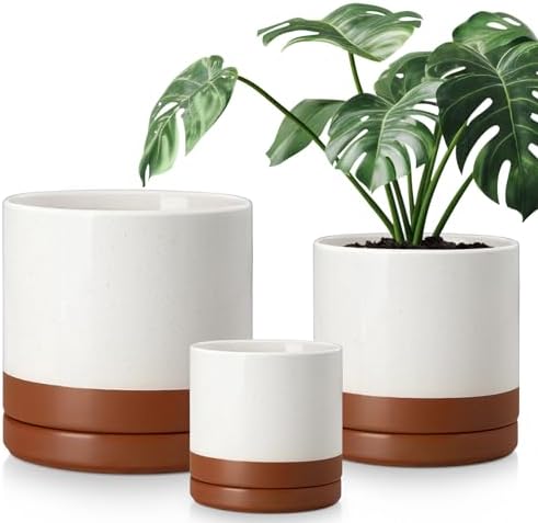 vancasso Ceramic Pots for Plants, Plant Pots for Indoor Plants, 6.25+8.25+10.25 Inch Ceramic Planters, Flower Pots with Drainage Holes, Planters Pot for Indoor House Plant, Set of 3, Khaki by vancasso