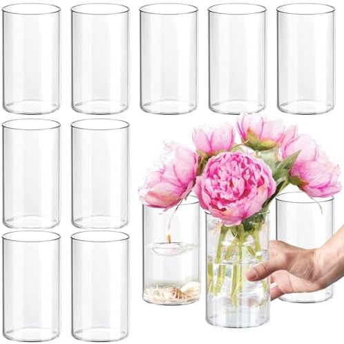 12Pcs Glass Cylinder vases for Centerpieces, 6 Inches Clear Bud Vases for Wedding Decorations,Floral Vase Bulk Flower vases,Tall Glass Hurricane Candle Holder for Table Shelf, Party. by Etolies