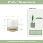 HERDUK 6 Inch Plant Pots, Ceramic Planter Pot with Drainage Hole & Saucer, Indoor/Outdoor Cylinder Round Planter Pot, White & Beige Glaze - Image 3