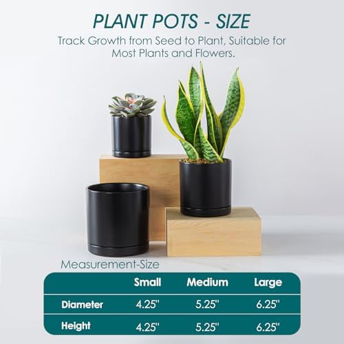 vancasso Ceramic Plant Pots, 3 Piece Planters for Indoor Plants, Black - Image 2