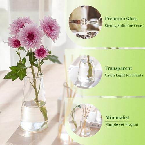 Hewory Glass Bud Vases for Centerpieces: Small Clear Modern Flower Vase Set of 24, Minimalist Cute Mini Decorative Bulk Vases for Wedding Birthday Bridal Shower Party Events Dining Room Table Decor - Image 6