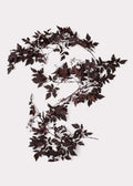 Afloral Plum Cimicifuga Seeded Garland - 6' by Afloral