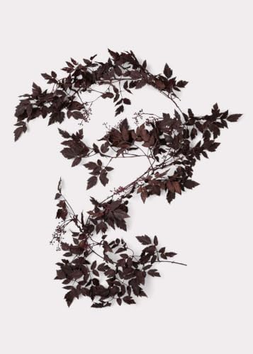 Afloral Plum Cimicifuga Seeded Garland - 6' by Afloral