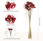 MIHUAGE Dried Flower 40PCS Daisy Bouquet 100% Natural Chrysanthemum Dry Flower with Stem for Vase Home décor Party DIY Arrangement Wheat Straw Bulk (Burgundy) - Image 2
