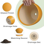 10 Inch Plant Pot - Ceramic Planter with Drainage Hole and Saucer, Modern Flower Pot, Round Planters for Indoor Plants, Home Patio Bathroom Porch Garden Living Room Decor, Orange - Image 6