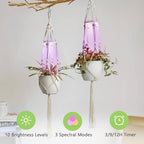 Macrame Plant Hangers - Beautiful Plants in Low Light - Image 4