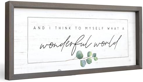Simply Said, INC Farmhouse Frames What a Wonderful World Wooden Sign, Rustic Framed Wall Art, Inspirational Farmhouse Home Decor, 10 x 24 Inch by SimplySaidINC
