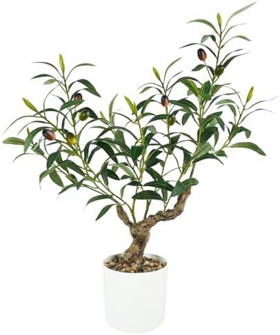 Caxchiling Artificial Olive Tree 2FT, Faux Potted Tree Indoor by Caxchiling