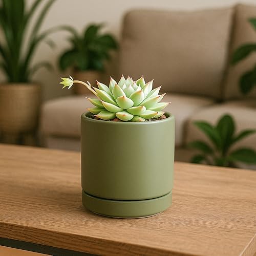 D'vine Dev 4-Pack Ceramic Pots with Saucers, Olive, 3.5 in, 94-X-A-0 - Image 5