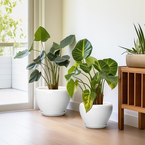 10+8+6 Inch Ceramic Planter, Ceramic Pots for Plants Indoor, White - Image 5