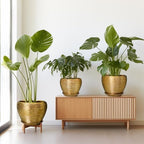 Flower Pots for Indoor & Outdoor Plants - Ceramic Pots 10 Inch, 8 Inch, 6 Inch with Drainage Holes, Saucers - Decorative Large Planters Set of 3 Gold - Image 7