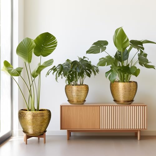 Flower Pots for Indoor & Outdoor Plants - Ceramic Pots 10 Inch, 8 Inch, 6 Inch with Drainage Holes, Saucers - Decorative Large Planters Set of 3 Gold - Image 7