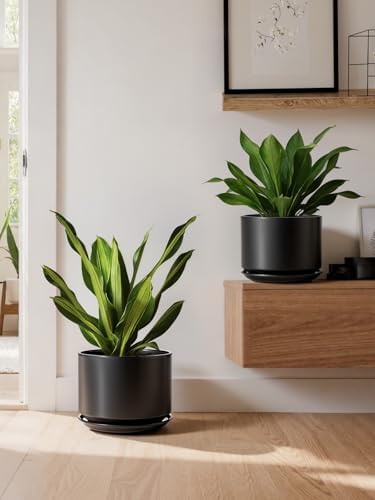 LE TAUCI 10 inch Plant Pot, Ceramic Pots for Plants, Black - Image 7