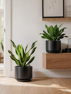 LE TAUCI 10 + 12 Inch Ceramic Plant Pots, Set of 2, Black - Image 6