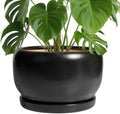 SQOWL Ceramic Flower Pot - 10 Inch Planter with Drainage Hole and Saucer, Modern Large Plant Pot Indoor Outdoor, Decorative Round Planter, Bedroom Decor, Gifts for Plant Lovers, Black by SQOWL