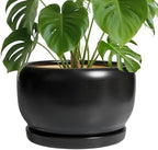 SQOWL Ceramic Flower Pot - 10 Inch Planter with Drainage Hole and Saucer, Modern Large Plant Pot Indoor Outdoor, Decorative Round Planter, Bedroom Decor, Gifts for Plant Lovers, Black by SQOWL