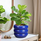 SQOWL 8 Inch Plant Pot - Ceramic Planter Indoor Plant Pot with Drainage Hole Outdoor Flower Pot Round Decorative Plant Pots for Kitchen Counter Desk Decor Blue - Image 6
