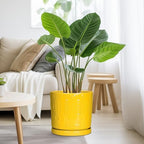 Eightpot Ceramic Pots for Plants, 10 Inch Plant Pot with Drainage Holes and Tray, Round Planter for Indoor Outdoor Plants, Modern Decorative Flower Pots, Office Decor, Birthday Gift for Women, Yellow - Image 4