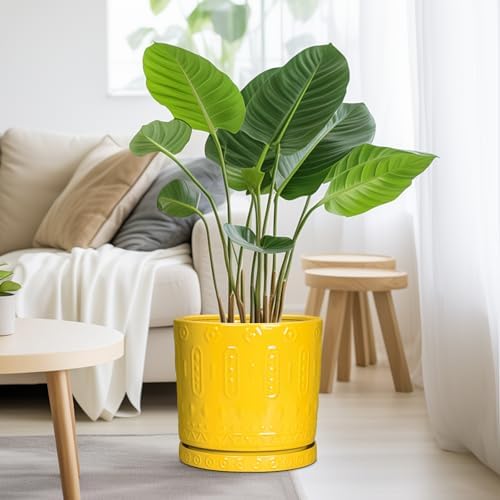 Eightpot Ceramic Pots for Plants, 10 Inch Plant Pot with Drainage Holes and Tray, Round Planter for Indoor Outdoor Plants, Modern Decorative Flower Pots, Office Decor, Birthday Gift for Women, Yellow - Image 4