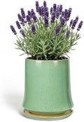 8 Inch Ceramic Planter Pot with Saucer Drainage Leak-Proof Mesh,Flower Pots for Lavender with Gardening Gloves,Ceramic Planter for Orchid(Light Green) by Unknown