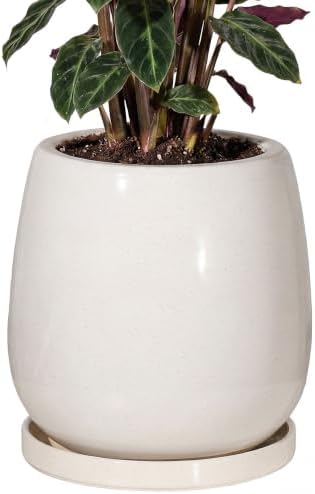 10.3 Inch Ceramic Glaze Plant Pot with Saucer, Flower Pots with Drainage Hole Mesh Net(Hemp-Gray Dot) by Unknown
