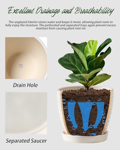 Plant Pots, Flower Pots, Planters for Indoor Plants(6.5+5.5inch), Flower Pots for Indoor Plant with Drainage Hole and Saucer, Ceramic Pots for Plants with Hole Mesh Pad,Reactive Glaze White - Image 4
