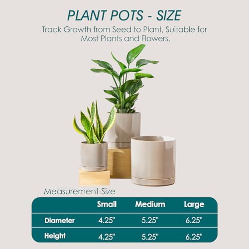 vancasso Ceramic Planters, Plant Pots for Indoor Plants, 6.25+8.25+10.25 Inch Ceramic Pots for Plants, Flower Pots with Drainage Holes (Gray, 6.25+8.25+10.25 Inch) - Image 3